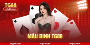 Mậu Binh TG88